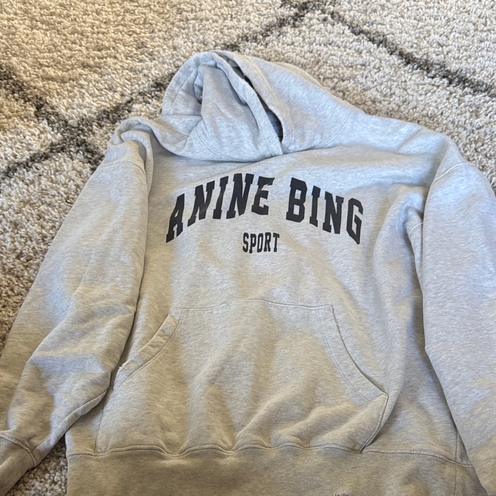 Anine Bing Sport Light Gray Hoodie